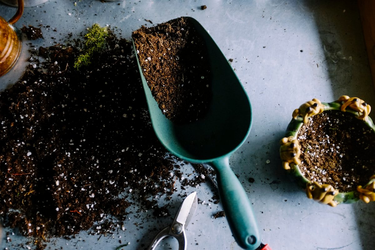 Geogreen Bioplants — Bioplants & Organic