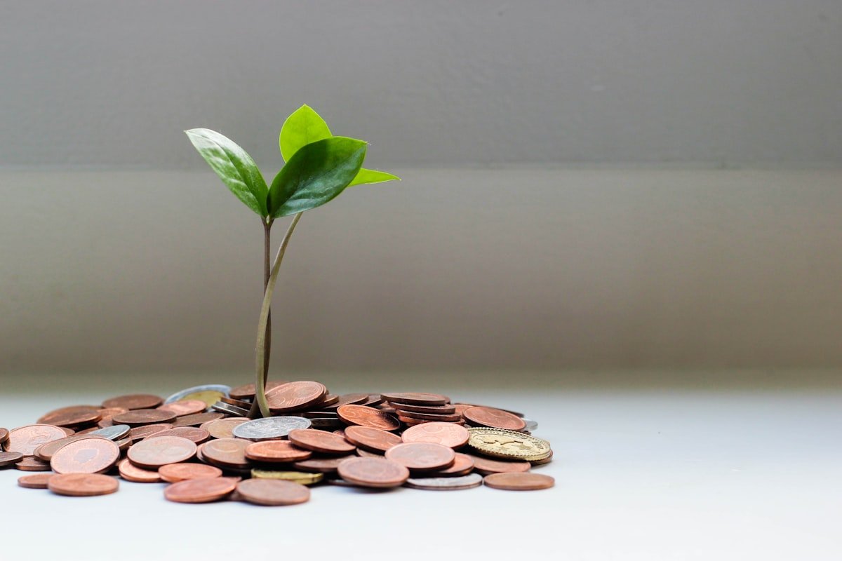 Geogreen Consumer Finance — Finance
